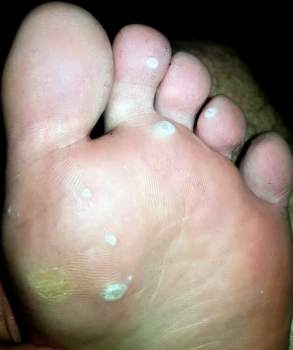  8 - 